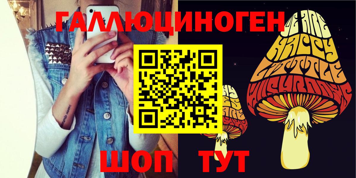 Псилоцибиновые грибы Psilocybe Кувандык