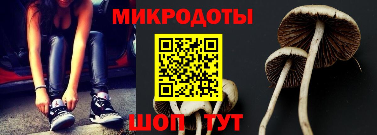 Псилоцибиновые грибы мицелий  Вход с VPN  Кувандык 