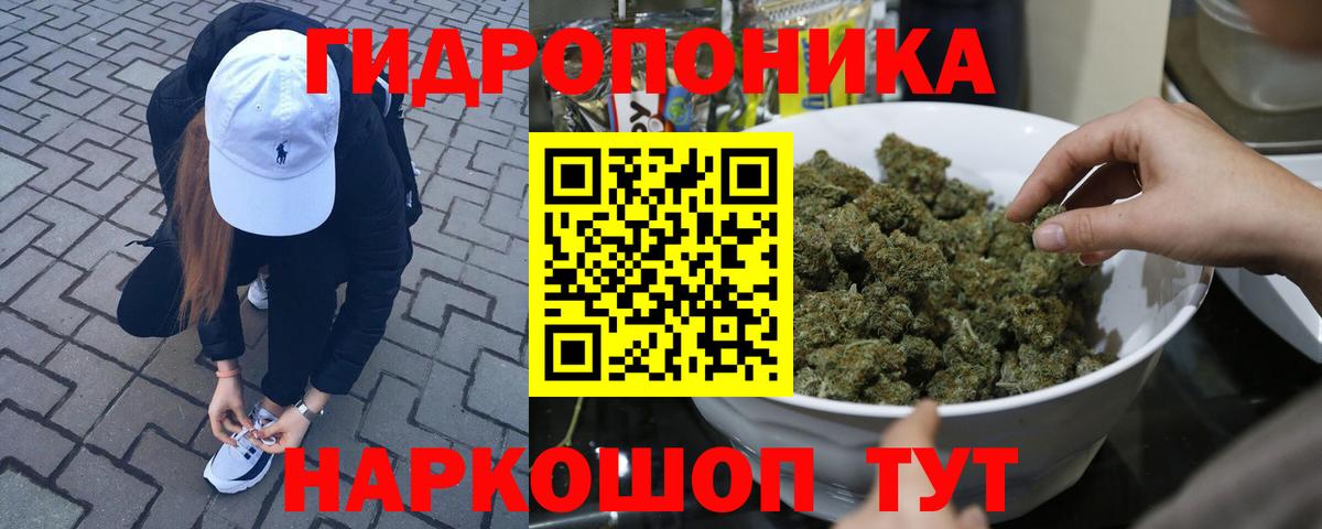 Канабис SATIVA & INDICA Кувандык